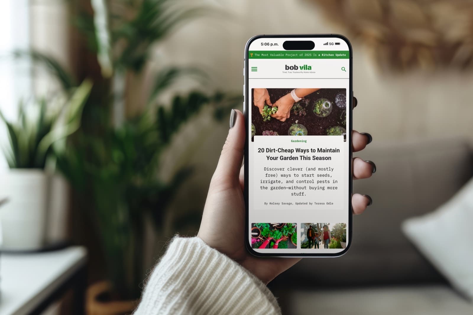 Featured migrating illustration