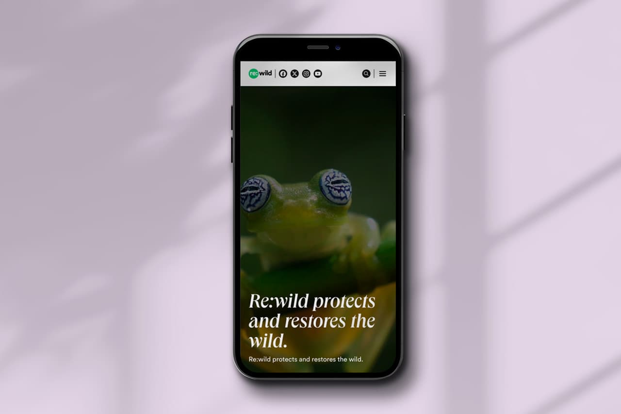 WordPress gallery image 1