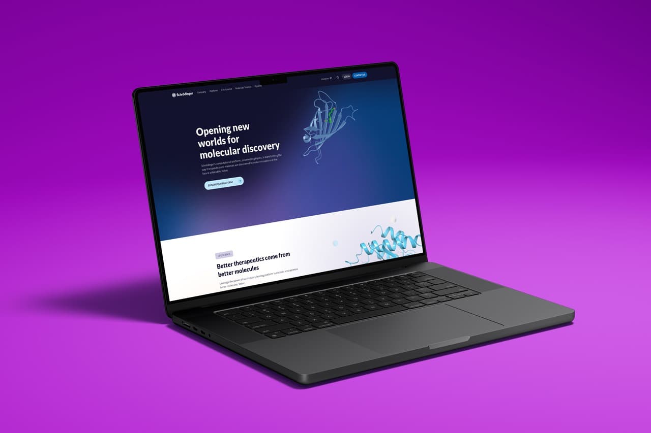 WordPress gallery image 6